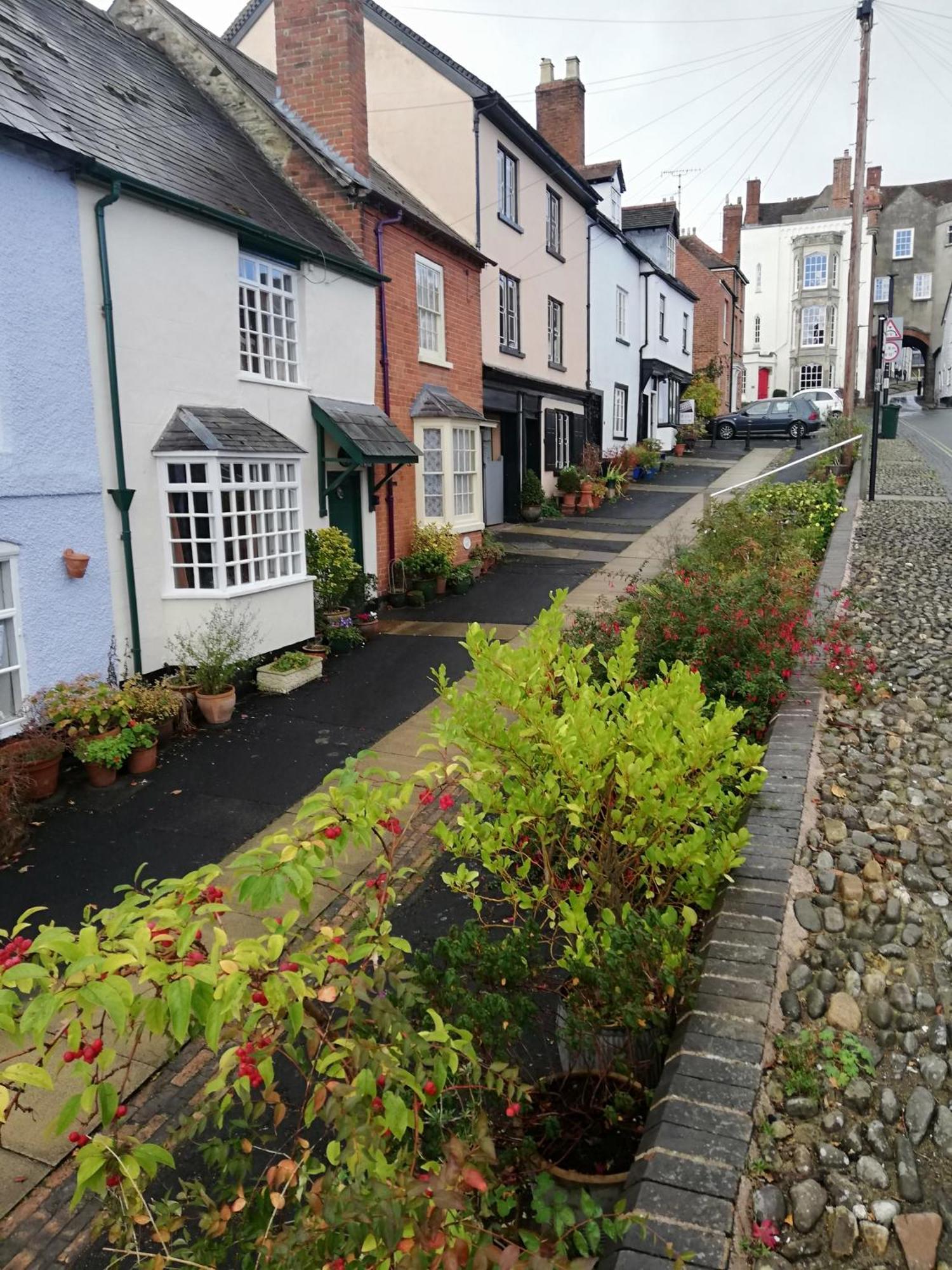 Toad Hall Ludlow Εξωτερικό φωτογραφία